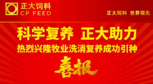 科学复养 正大助力——热烈祝贺兴隆牧业洗消复养成功引种