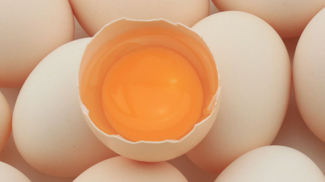 2021年12月17日全国部分地区鸡蛋出场价格