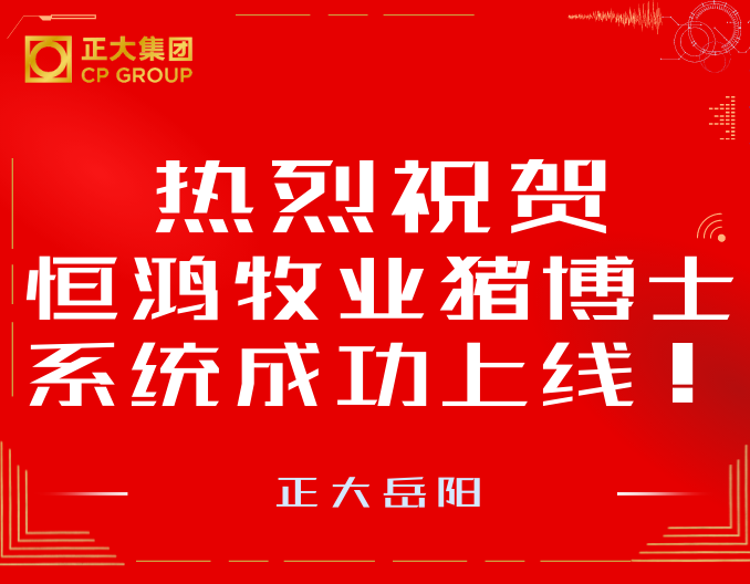 热烈祝贺恒鸿牧业猪博士成本系统成功上线!