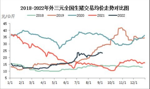 猪价异动频繁 种仔猪价格或能体现业者中长线预期