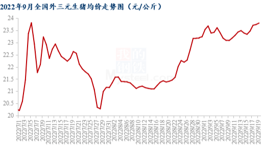 猪价拉锯战 多空双方谁将率先占得上风？