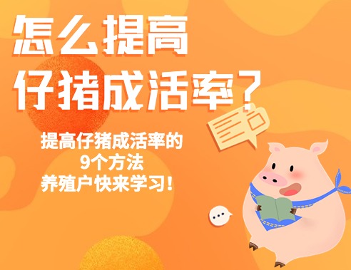 怎么提高仔猪成活率？提高仔猪成活率的9个方法，养殖户快来学习！