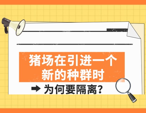 猪场在引进一个新的种群时，为何要进行隔离？