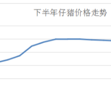 600元/头的小猪到底能不能抓?一位养猪人算了一笔账