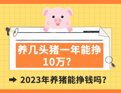 养几头猪一年能挣10万？2023年养猪能挣钱吗？