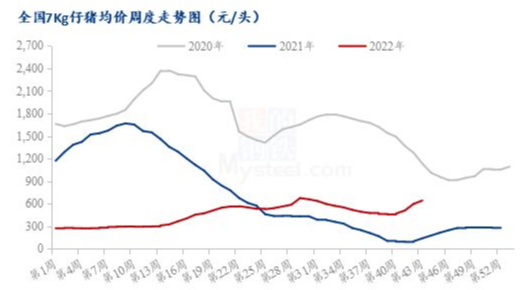 冰火两重天！猪价一周下跌1.5元/斤，仔猪价格却突破700元/头.....