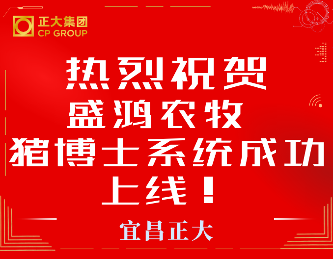 热烈祝贺盛鸿农牧猪博士系统成功上线！