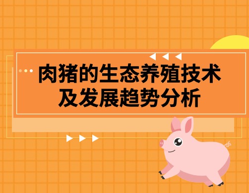 肉猪的生态养殖技术及发展趋势分析