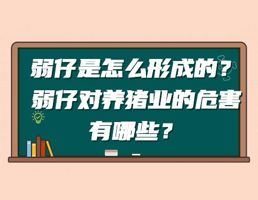 弱仔是怎么形成的？弱仔对养猪业的危害有哪些？