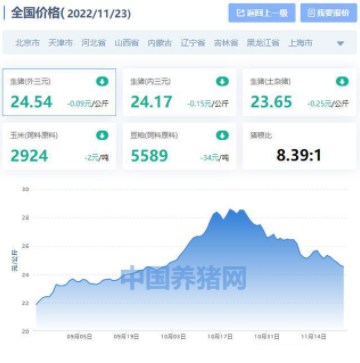 2022年11月23日全国猪价行情：猪肉跌了、玉米价格跌了、豆粕跌了