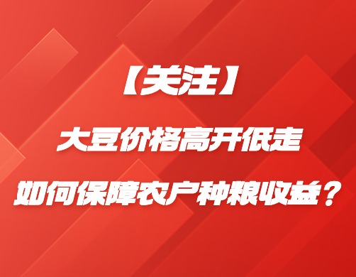 【关注】大豆价格高开低走，如何保障农户种粮收益？