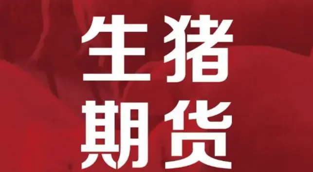 生猪期货为何突然大幅下挫？影响明年猪价走势的因素是……