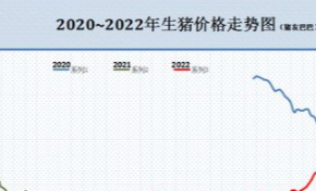 再降510元！12月12日：生猪、油价跌惨，玉米、豆粕、鱼价上涨！