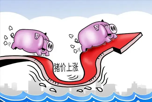 国家统计局：12月中旬生猪（外三元）价格环降17.3%