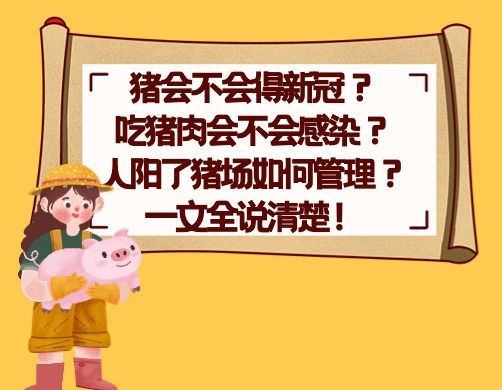 猪会不会得新冠？吃猪肉会不会感染？人阳了猪场如何管理？一文全说清楚！