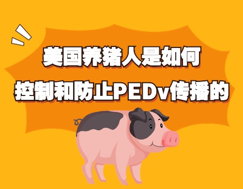 美国养猪人是如何控制和防止PEDv传播的