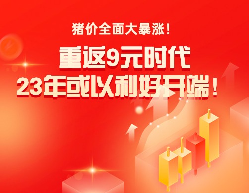 猪价全面大暴涨！重返9元时代，23年或以利好开端！