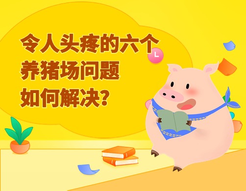 令人头疼的六个养猪场问题，如何解决？