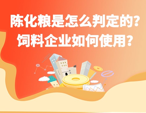 陈化粮是怎么判定的？饲料企业如何使用？