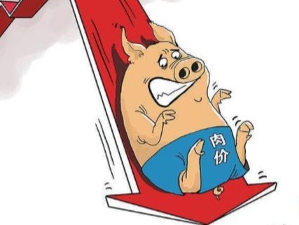 2022年1-11月份我国鲜冷冻猪肉进口155.8万吨，同比下降56.0%