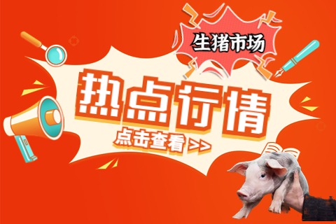 痛快！全国开涨，最高涨2.26元！春节后猪价如何走？这个分析太到位！中央定调:生猪市场大局已定！