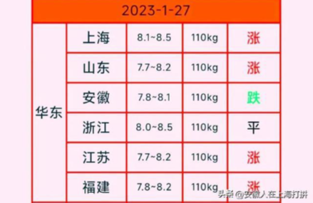 猪价12连涨到来：今日（1.27）15地猪价再创新高，上涨区域再扩展