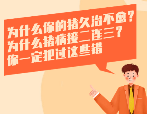 为什么你的猪久治不愈？为什么猪病接二连三？你一定犯过这些错