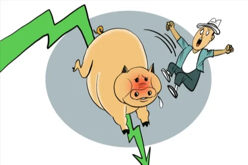 本轮猪周期见底即将上行？专家分析当前生猪价格态势