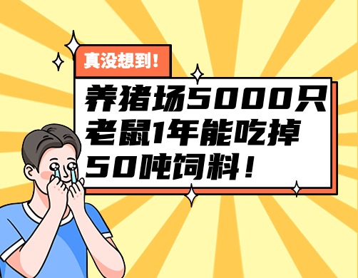 真的没想到！养猪场5000只老鼠1年能吃掉50吨饲料！