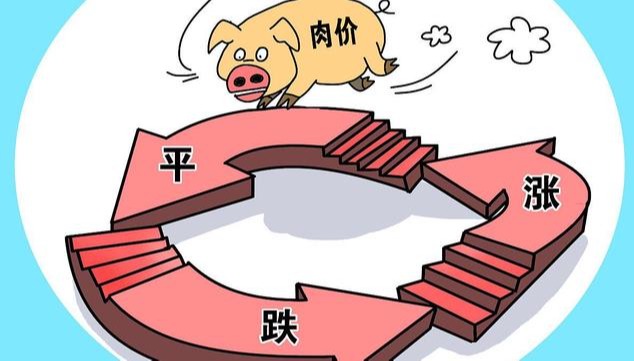 国家发改委：预计短期猪价或依旧波动频繁