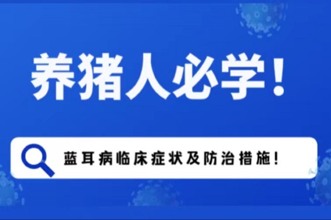 猪蓝耳病的临床症状及防治措施，养猪人必学！