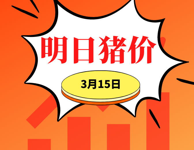 3.15明日猪价早知道,全国最新猪价信息