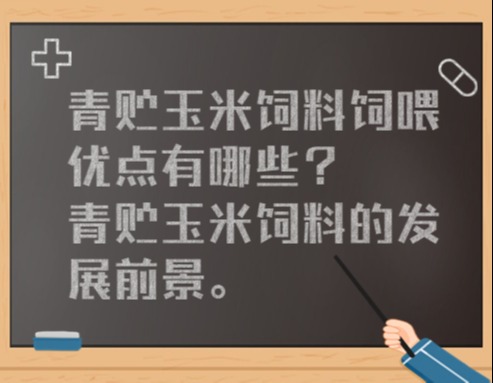 青贮玉米饲料饲喂优点有哪些？青贮玉米饲料的发展前景