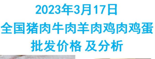 2023年03月17日全国猪肉牛肉羊肉鸡肉鸡蛋批发价格日报及分析