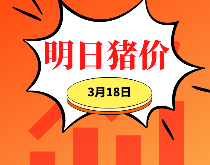 涨！多地猪价上涨！3.18明日猪价早知道,全国最新猪价信息