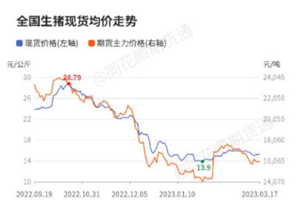 【收评】生猪日内上涨0.44% 机构称供需博弈 生猪震荡整理