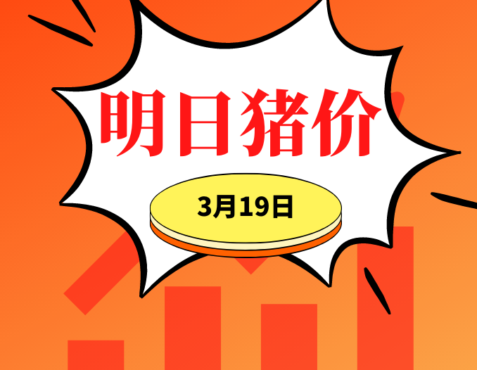 多地上涨！3.19明日猪价早知道,全国最新猪价信息