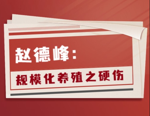 赵德峰：规模化养殖之硬伤