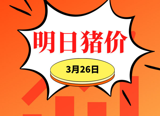 3.26明日猪价早知道,全国最新猪价信息