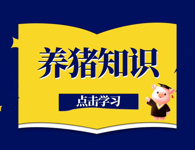 为什么各地猪价不同？生猪区域差价是由什么决定的？