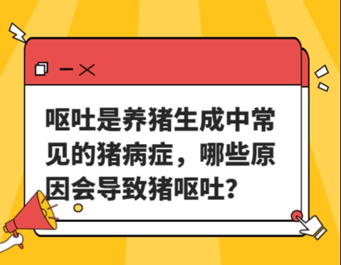 呕吐是养猪生成中常见的猪病症，哪些原因会导致猪呕吐？