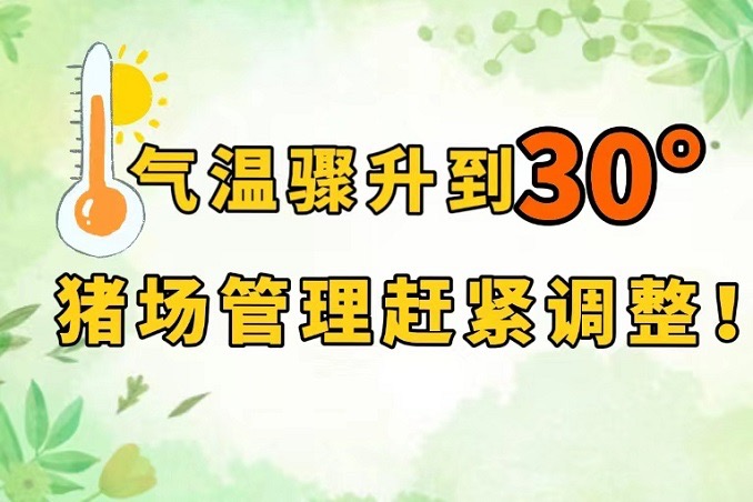 气温将冲击到30°，猪场管理赶紧调整！