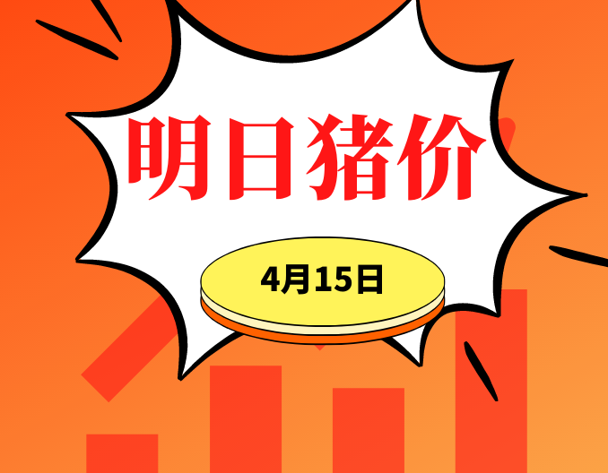 4.15明日猪价早知道，全国最新猪价信息