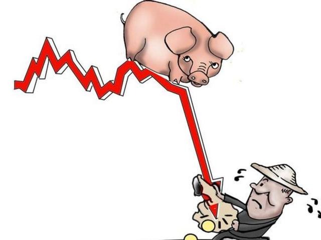 04月14日猪价：猪价跌回起跑线，后续走势令人担忧？