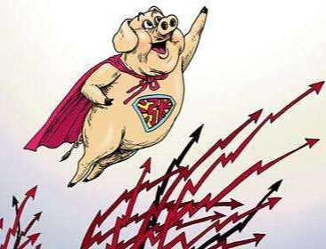 猪价反弹上涨，强势破“7”！“二师兄”身价能稳住吗？