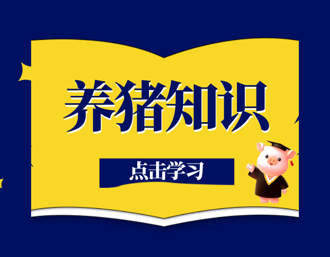 春季多发猪病流行特征及防控措施——副猪嗜血杆菌病