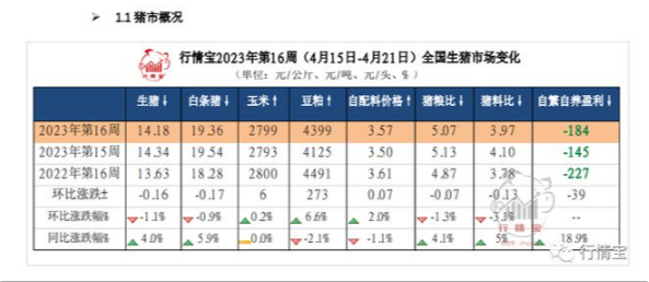 猪价说涨就涨，你准备好补栏了吗？