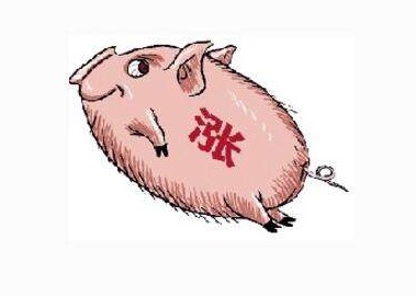 期货周报｜大宗商品走势分化，原油黑色系下跌，沪锡、生猪期货大幅上涨