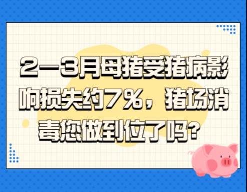 2—3月母猪受猪病影响损失约7%，猪场消毒您做到位了吗？