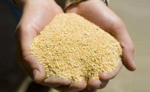 油价下跌在即！4月27日猪价“涨不动”，豆粕果然上涨，玉米揪心